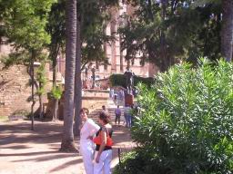 Resize of P1011998.JPG